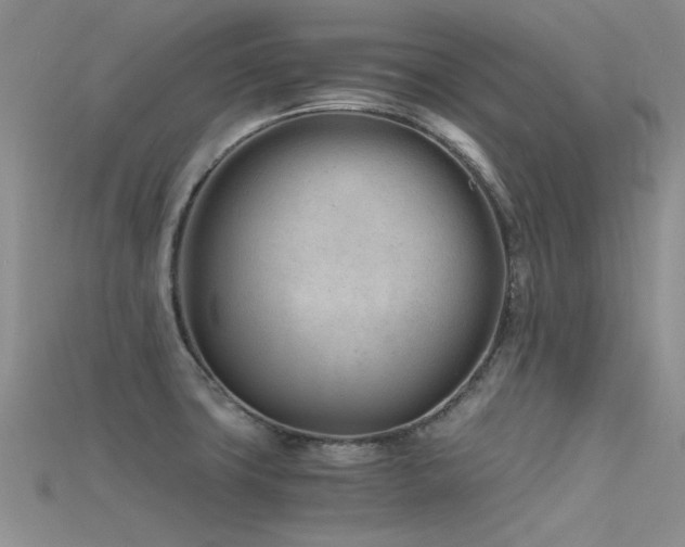 X0000115681427200911121236