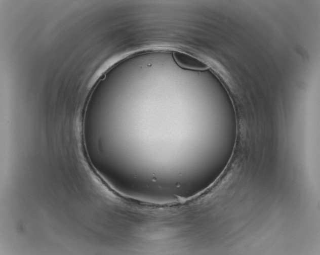 X0000115681428200911121236