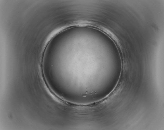 X0000115681429200911121236