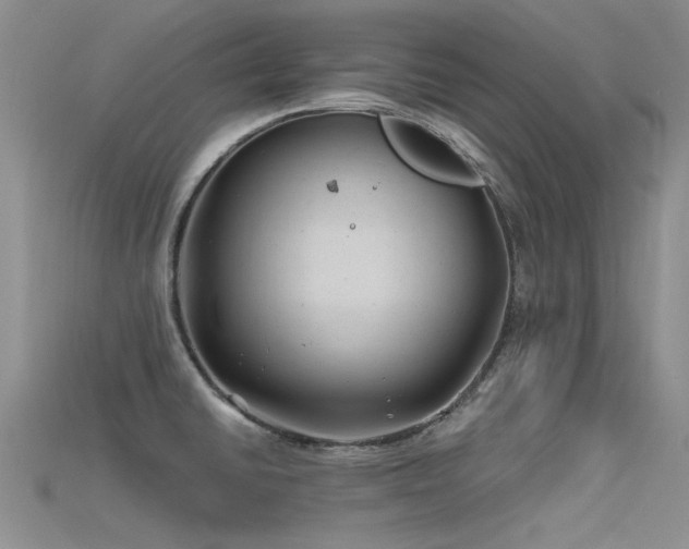 X0000115681430200911121236