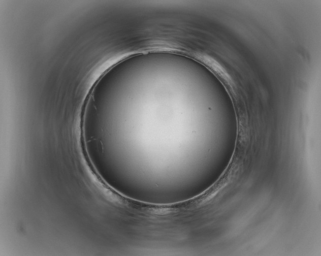 X0000115681431200911121236