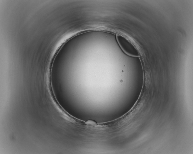 X0000115681432200911121236