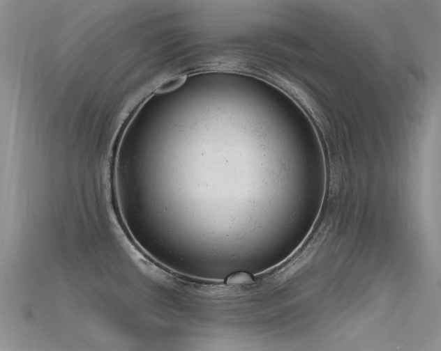 X0000115681434200911121236