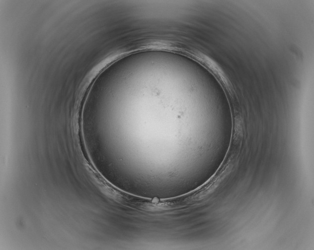X0000115681435200911121236