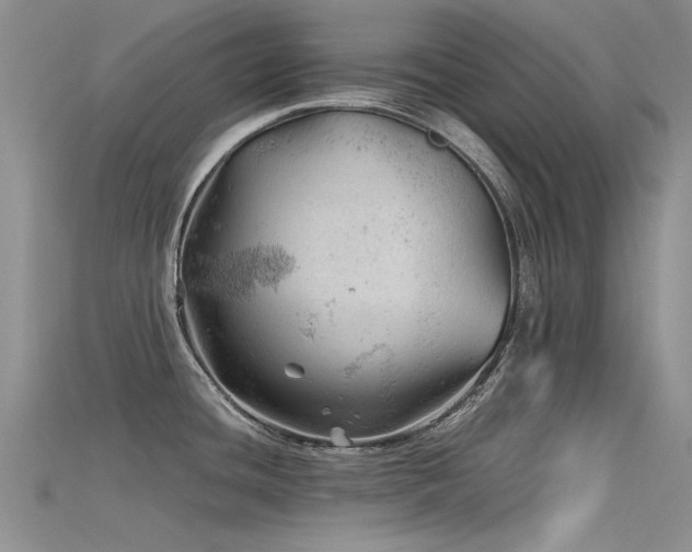 X0000115681436200911121236
