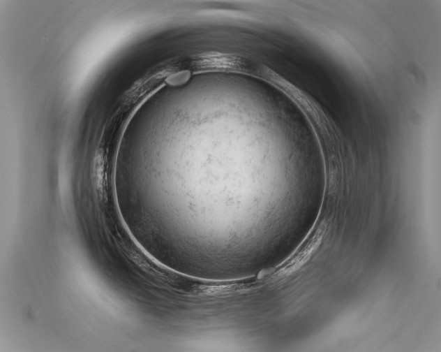 X0000115681438200911121236