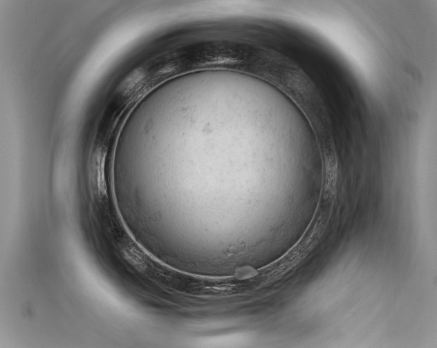 X0000115681439200911121236