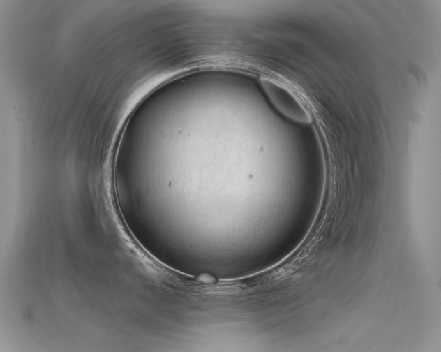 X0000115681440200911121236