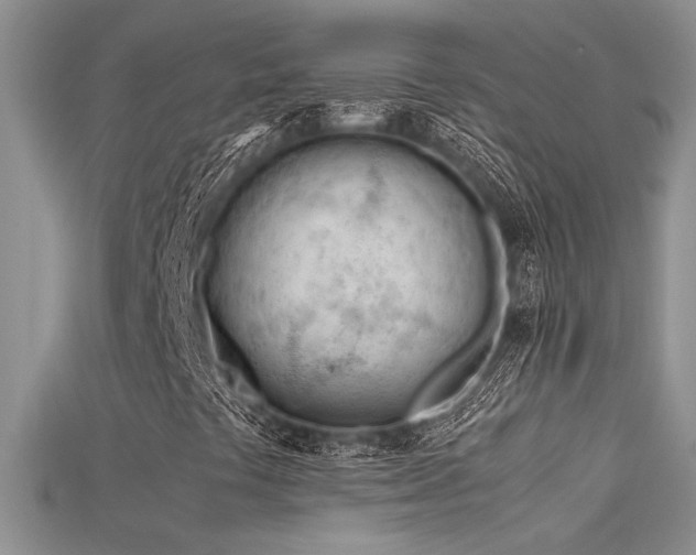 X0000115681441200911121236