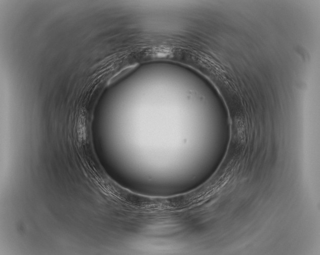 X0000115681442200911121236