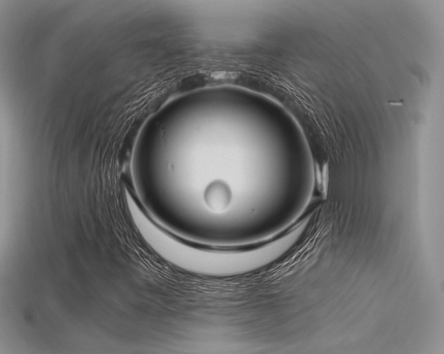 X0000115681443200911121236