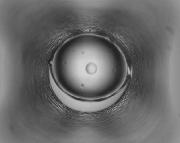 X0000115681444200911121236