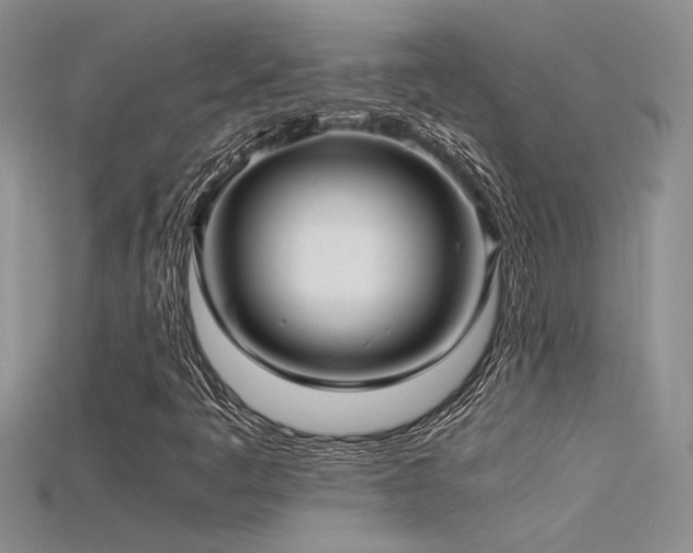 X0000115681445200911121236