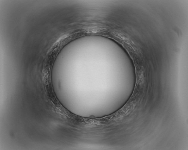 X0000115681446200911121236