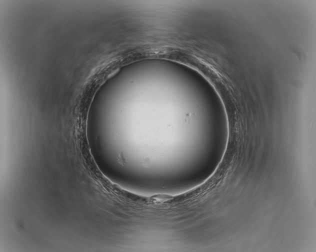 X0000115681447200911121236