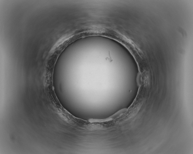 X0000115681448200911121235