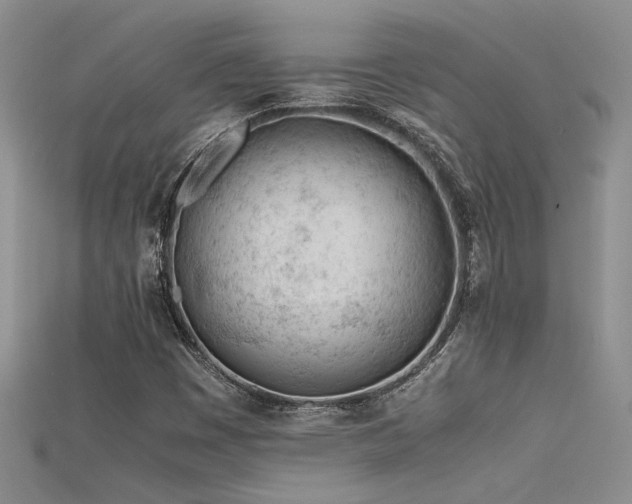 X0000115681449200911121235