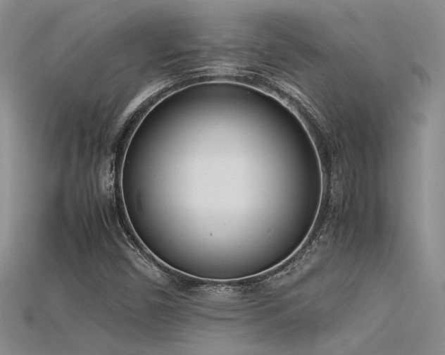 X0000115681450200911121235