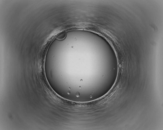 X0000115681451200911121235