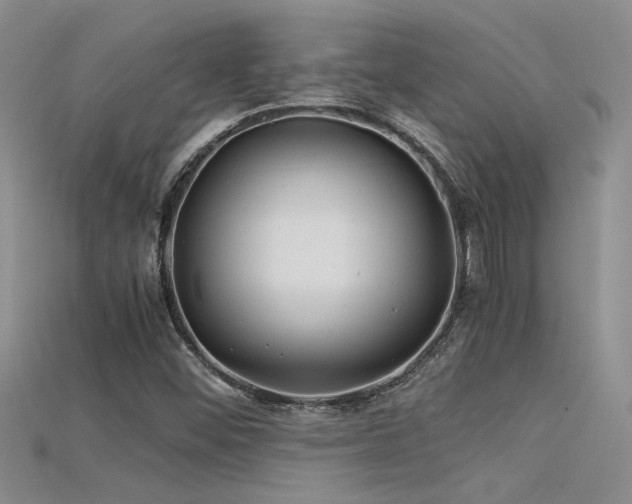 X0000115681452200911121235