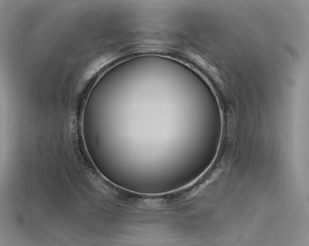 X0000115681453200911121235