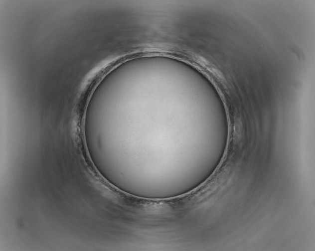 X0000115681454200911121235
