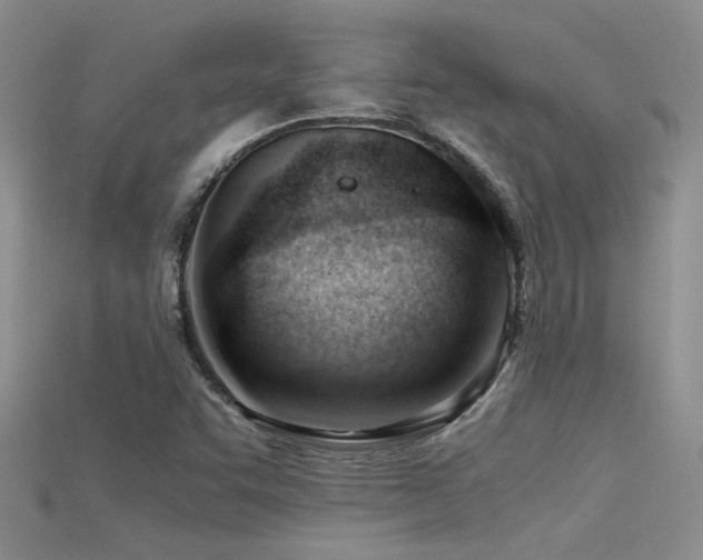 X0000115681455200911121235