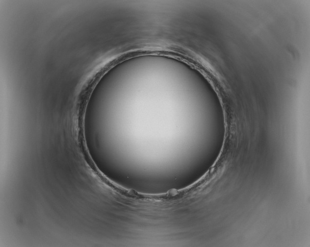 X0000115681456200911121235
