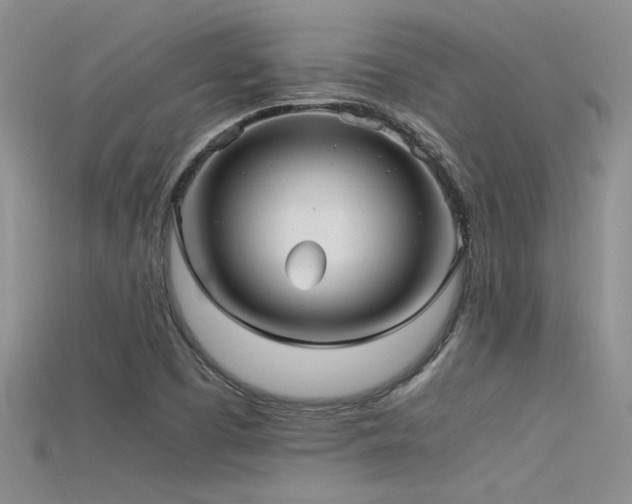 X0000115681457200911121235