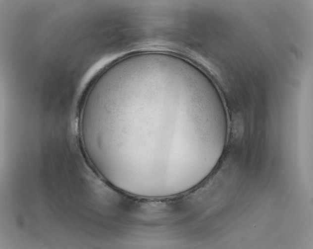 X0000115681462200911121235