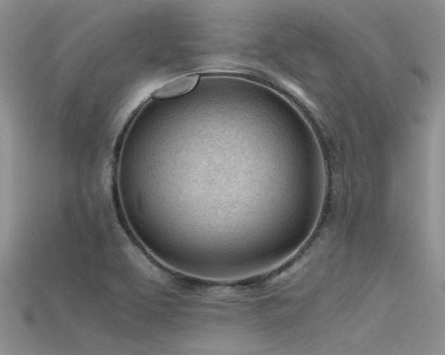 X0000115681463200911121235