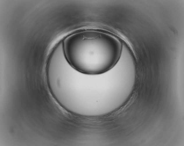 X0000115681464200911121235