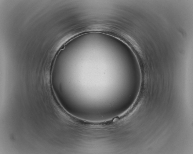 X0000115681465200911121235