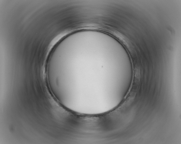 X0000115681466200911121235