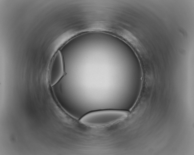 X0000115681469200911121235