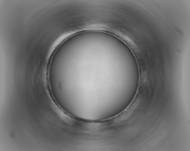 X0000115681470200911121235