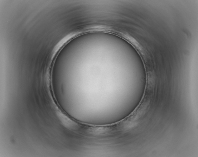 X0000115681474200911121235