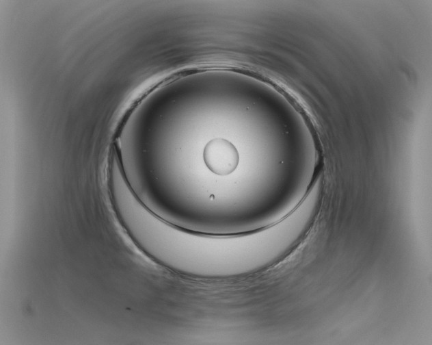 X0000115681477200911121235
