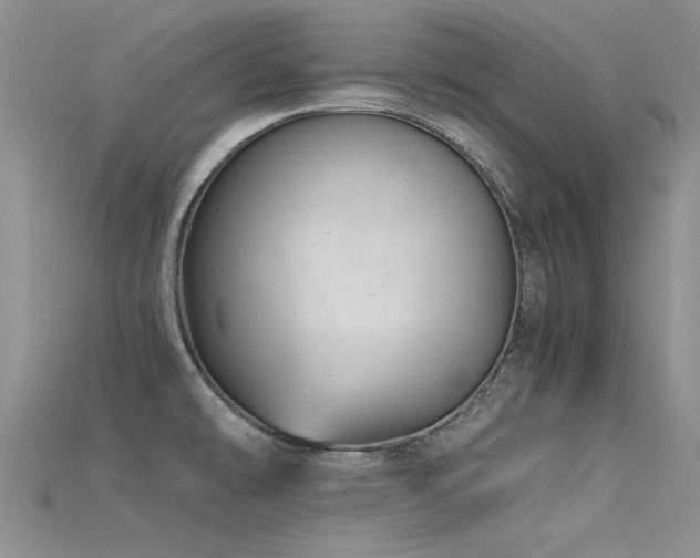 X0000115681478200911121235