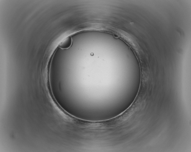 X0000115681479200911121235