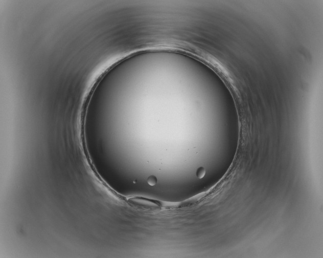 X0000115681480200911121235