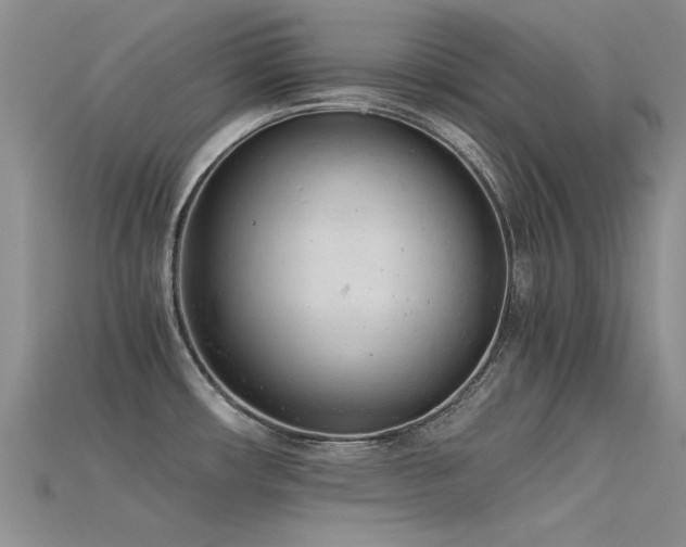 X0000115681482200911121235