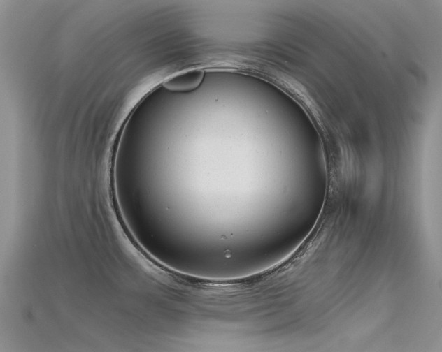 X0000115681483200911121235