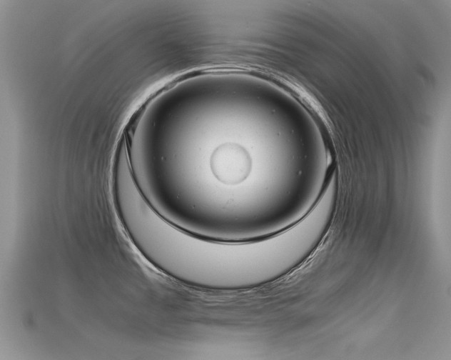 X0000115681485200911121235