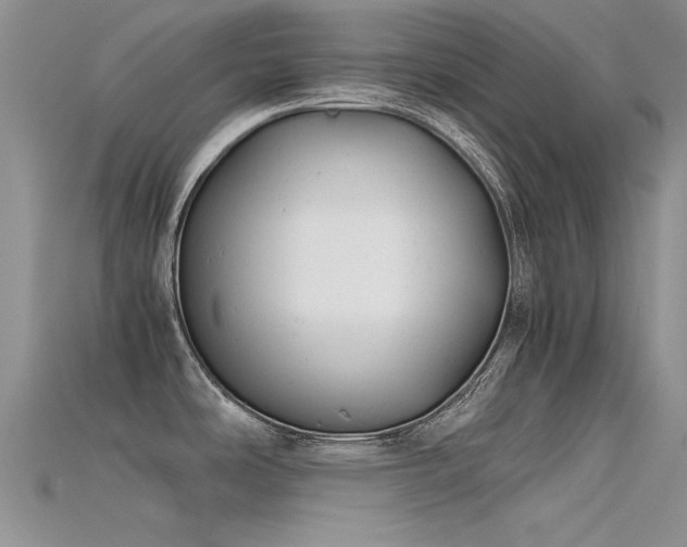 X0000115681486200911121235