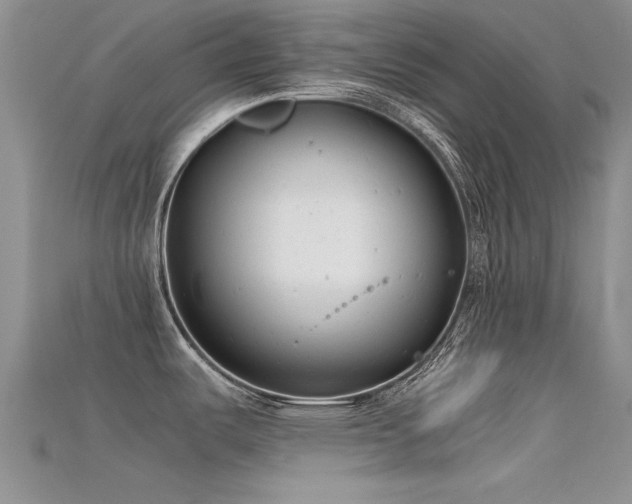 X0000115681487200911121235