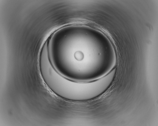 X0000115681488200911121235