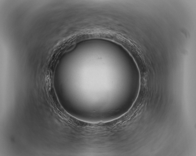 X0000115681493200911121234