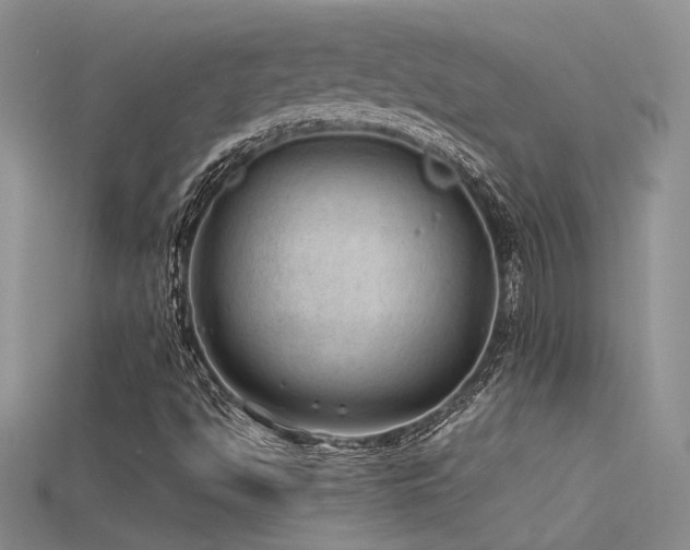 X0000115681494200911121234