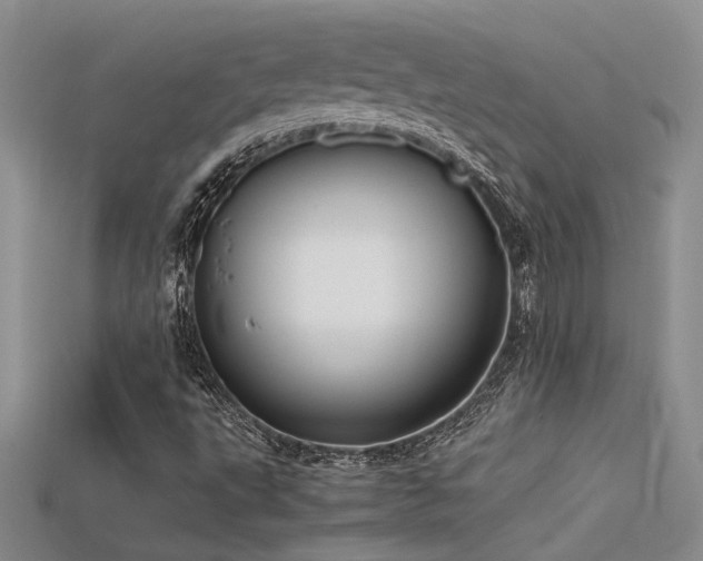 X0000115681495200911121234